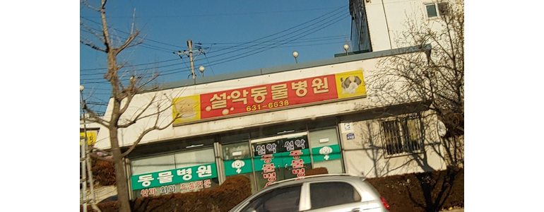 속초시 동물병원