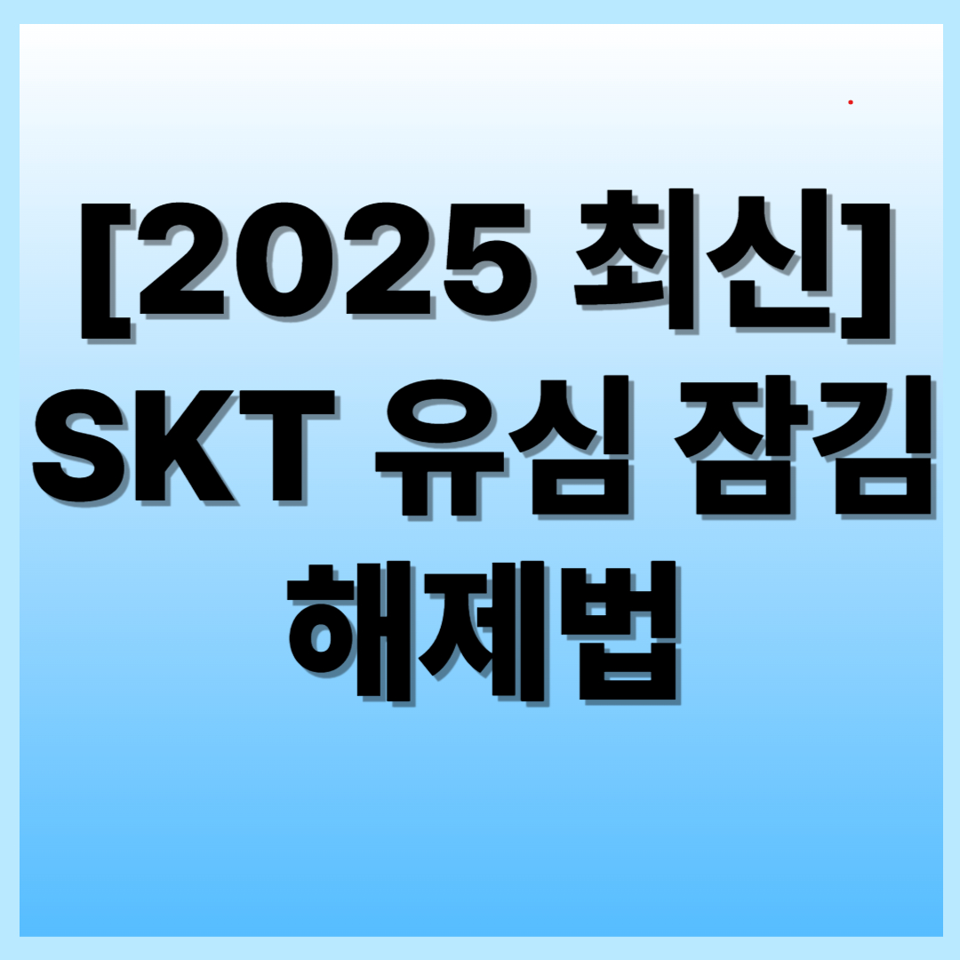 SKT 유심잠김 풀기, PUK번호 다시 찾는 법 (2025 재정리)