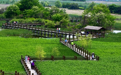경기도 안산 여행지 추천 갈만한곳 - 안산갈대습지공원