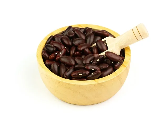 강낭콩 재배 파종 간격 잡초 억제 멀칭 요령_4