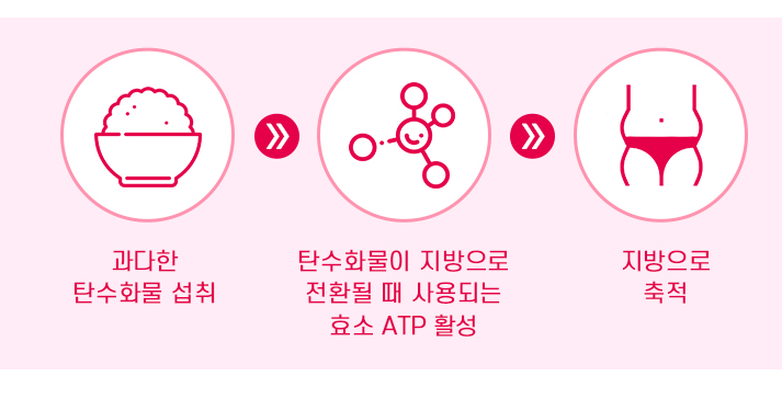 가르시니아 캄보지아6