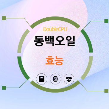 동백오일 효능 탐구