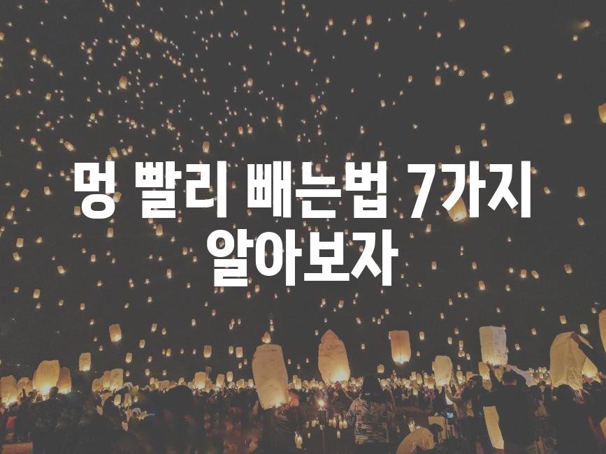 샘플 (17)