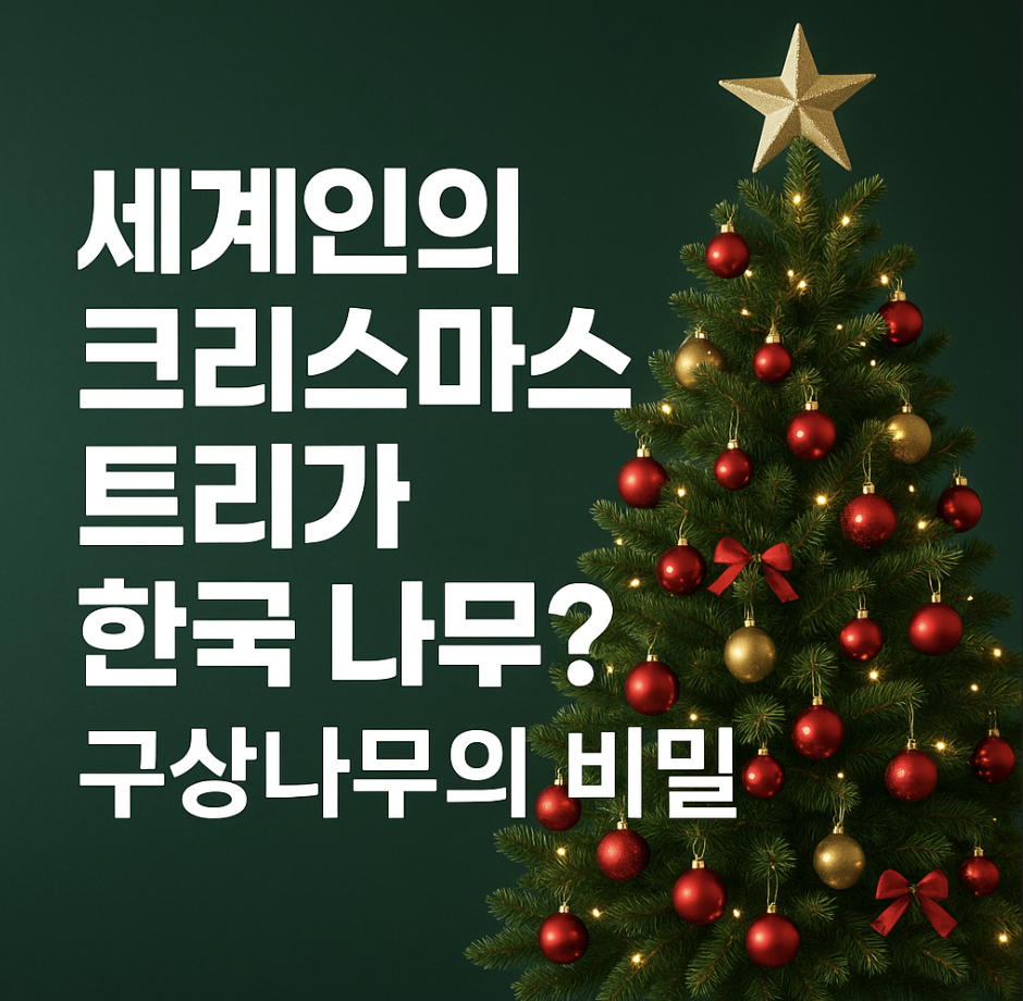 세계인의 크리스마스 트리가 한국 나무? 구상나무의 비밀