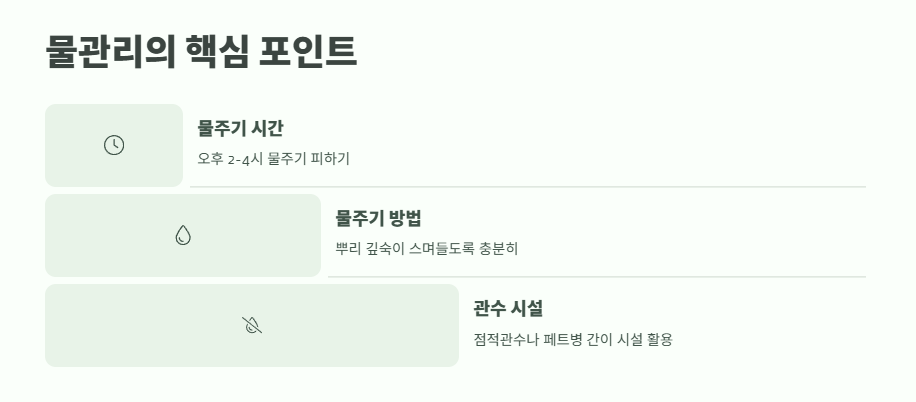 6월에 심는 밭작물 ❘ 늦은 여름까지 수확하는 비법 8