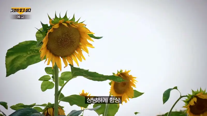 그알 그것이알고싶다 1인 3역 장군보살 살인마의 가스라이팅 동거남의 정체, 완주 동거녀 살인사건 1316회