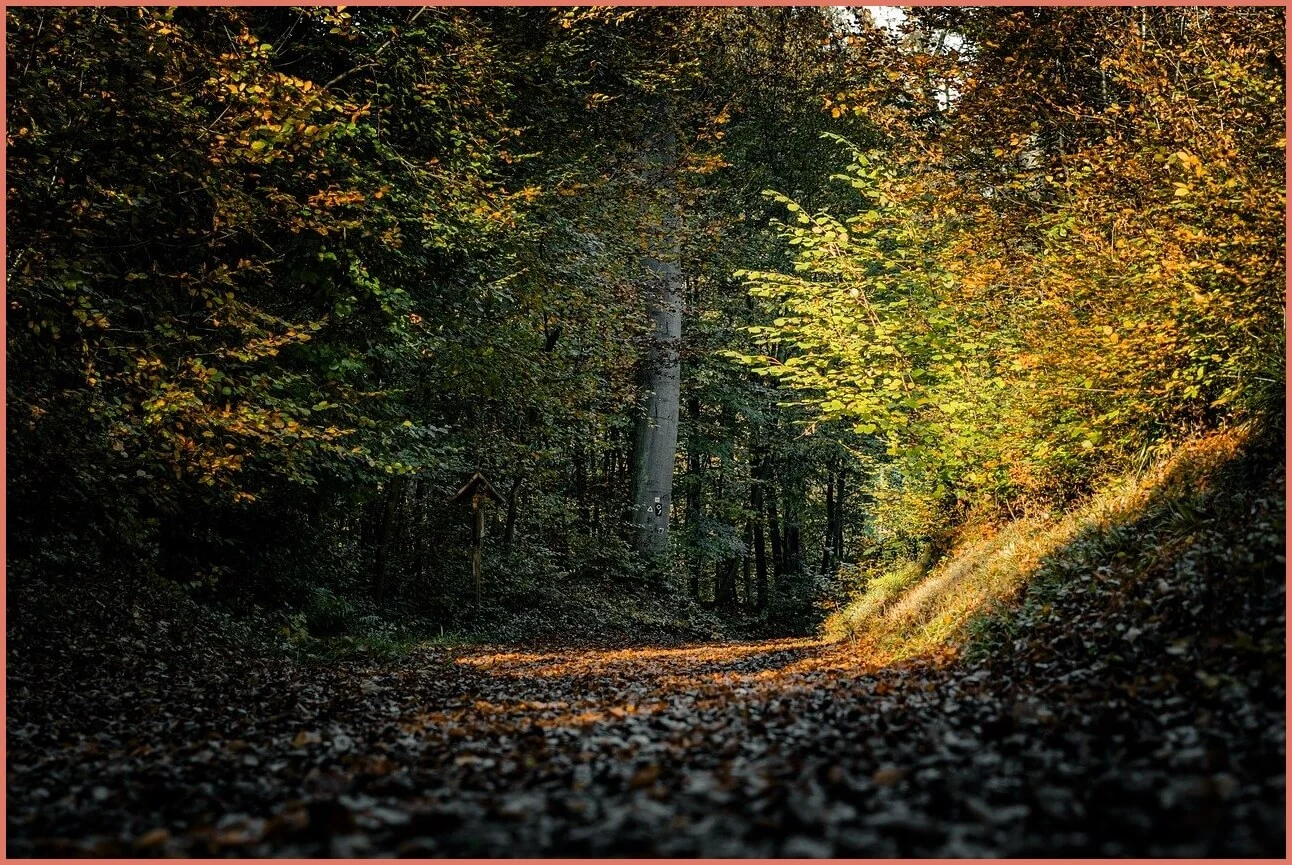 새마을금고 예금금리