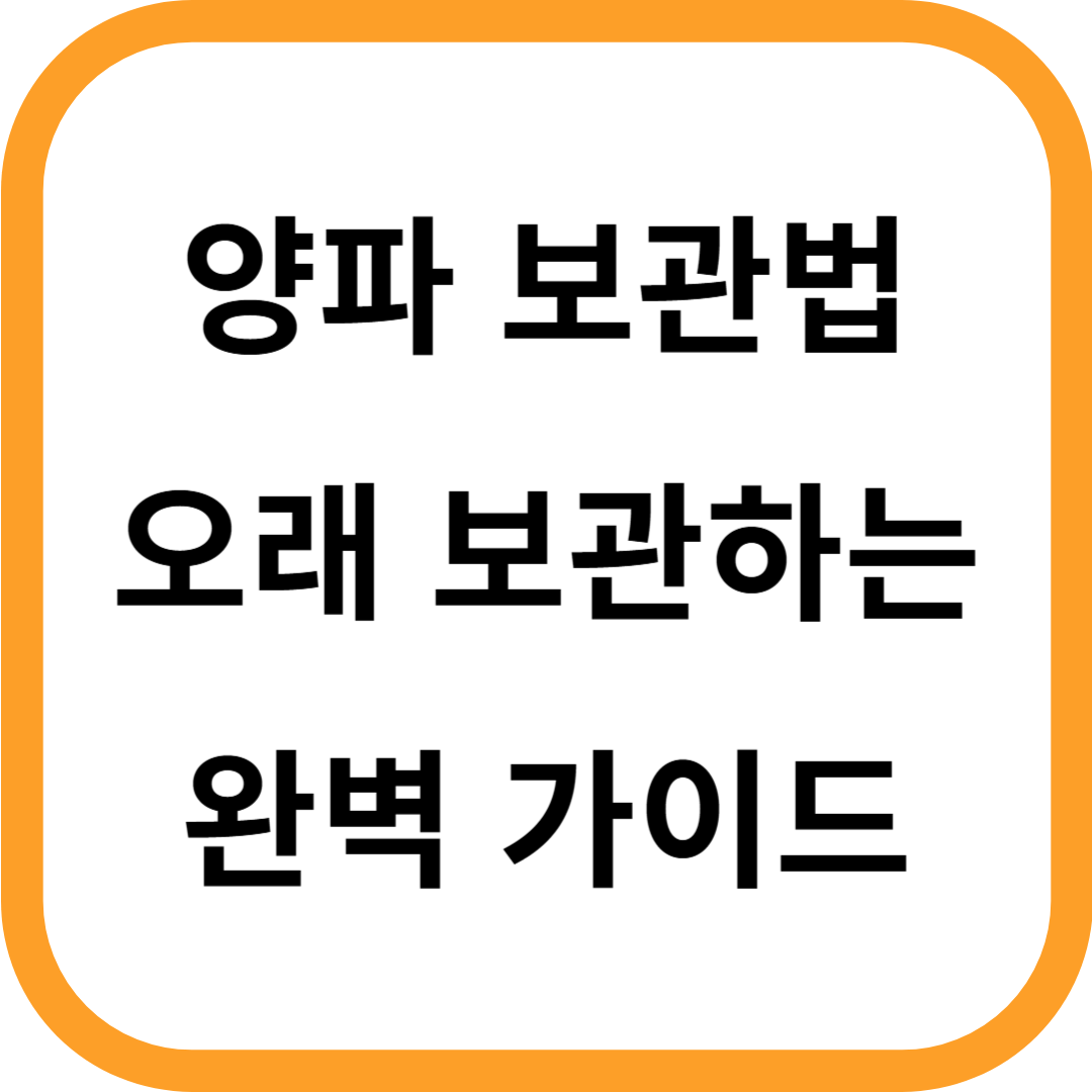 양파 보관법