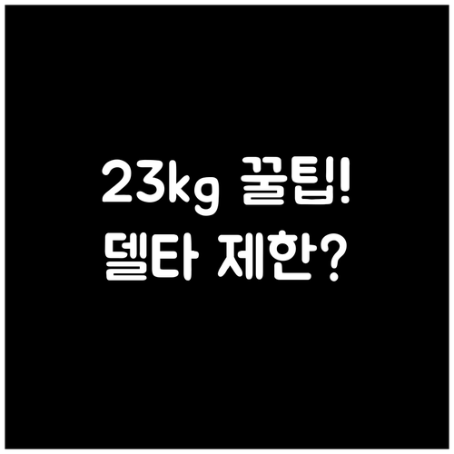 델타항공 위탁수하물 크기 무게 제한 ..