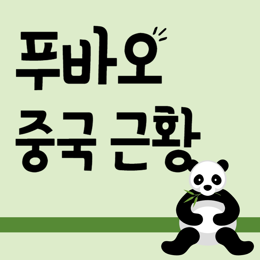 푸바오 중국 영상 생활 모습