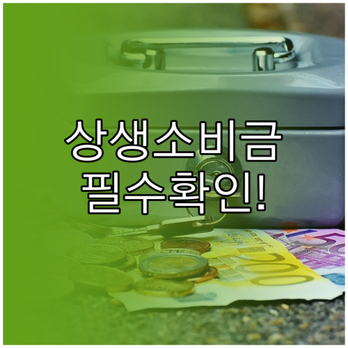 상생소비지원금 정보 변경 시 알아야 ..