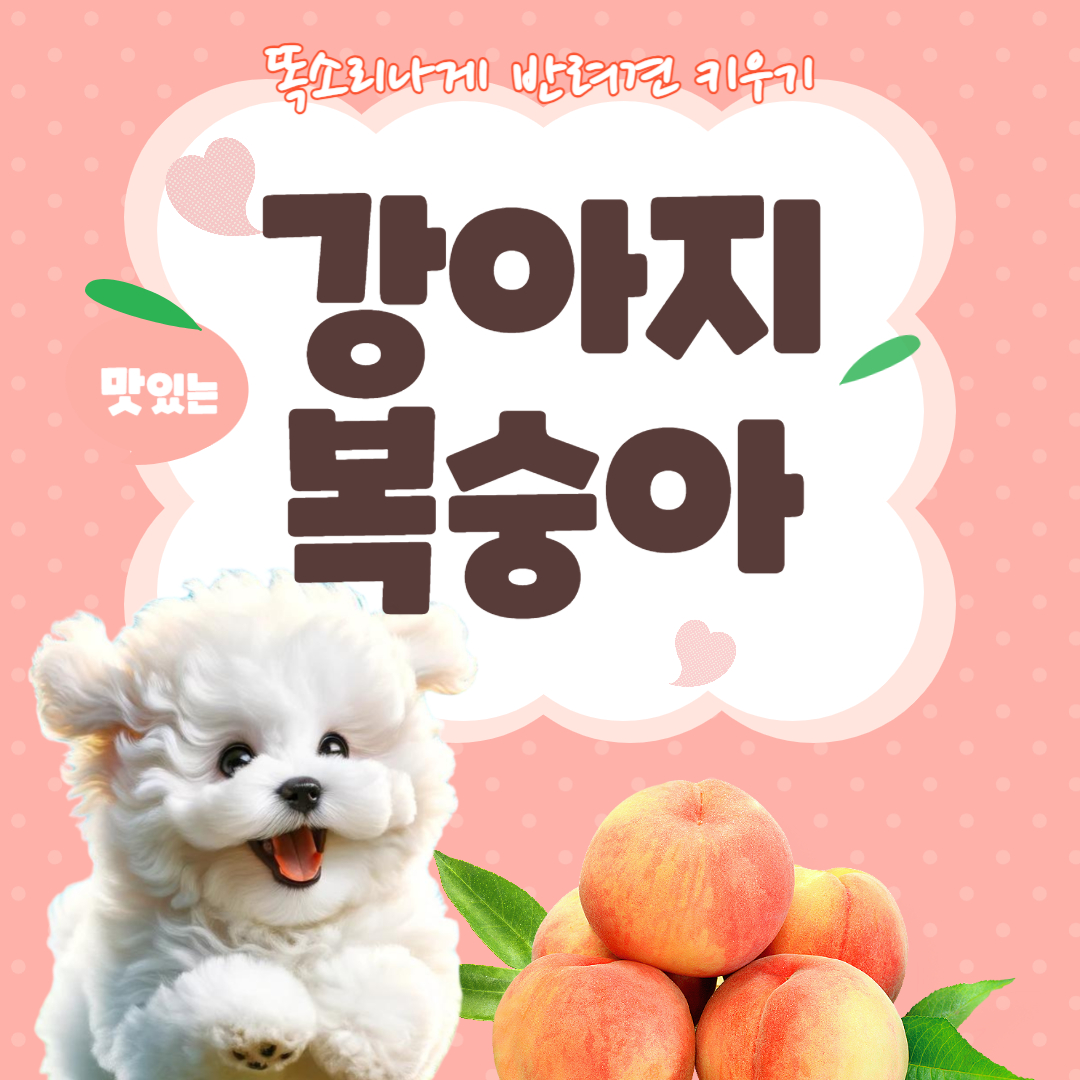 강아지 복숭아 급여량 하루적정량 효능 주의할 점