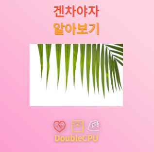 겐차야자 꽃말 및 탐구