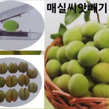 매실 수확시기_20