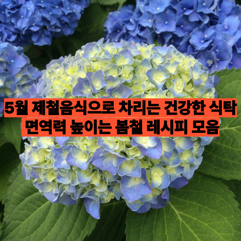5월 제철음식으로 차리는 건강한 식탁 ❘ 면역력 높이는 봄철 레시피 모음