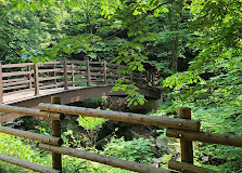 치유의 숲 산책로