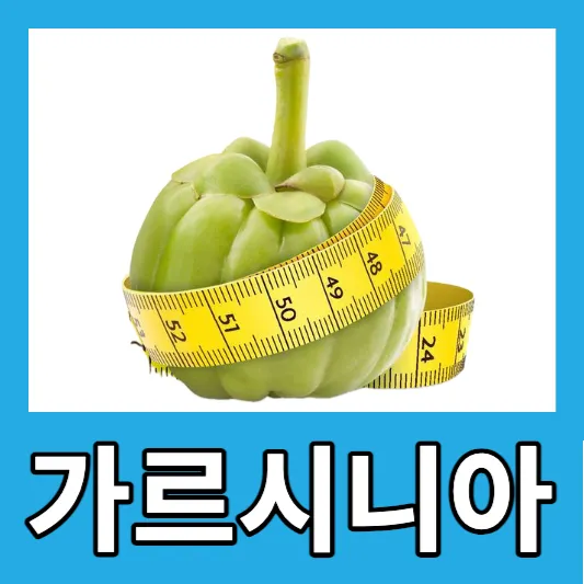 가르시니아 3가지 효능 부작용 다이어트 논문 가르시니아 관련제품