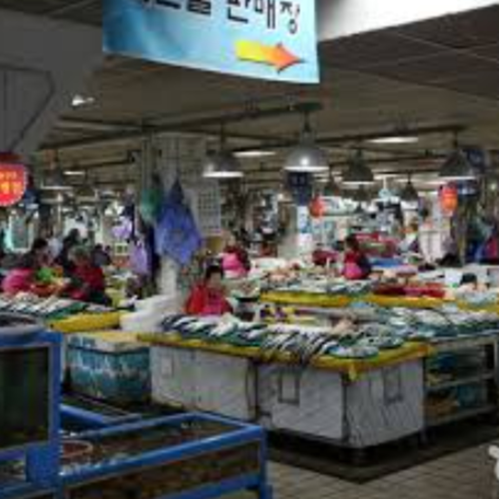 주문진 수산시장