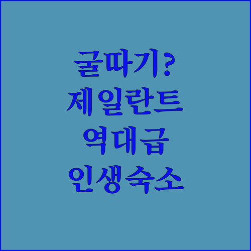 굴 따기 체험부터 전용 해변까지 네덜..