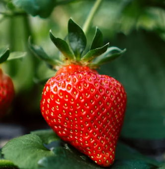 고지혈증에 좋은 음식 나쁜 음식