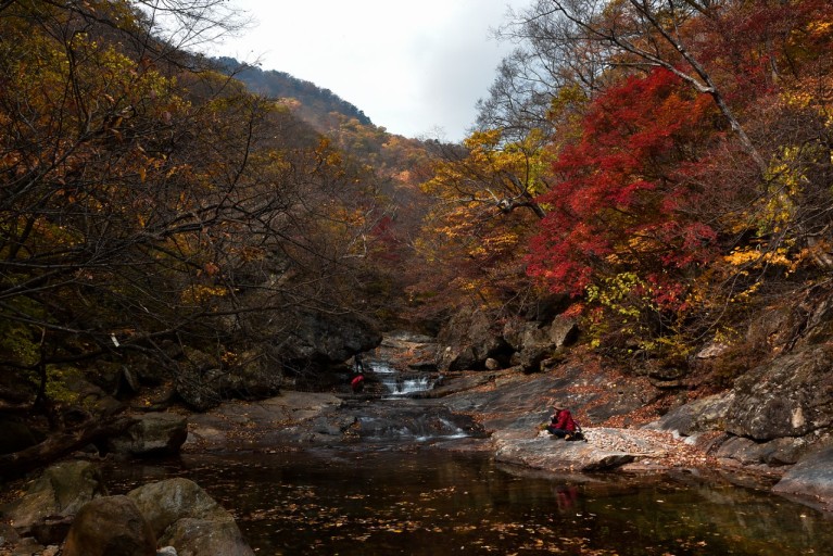 지리산 단풍시기