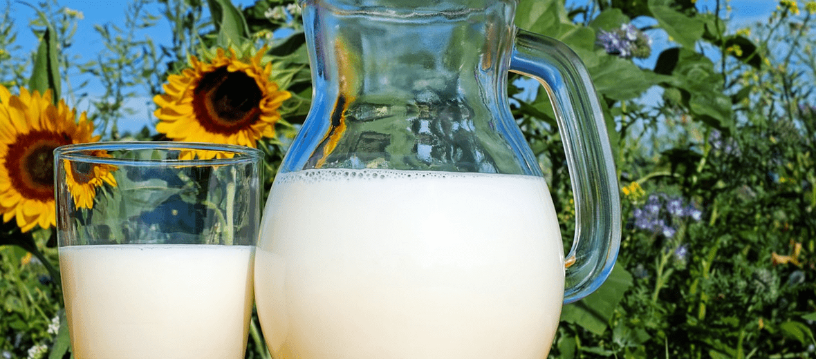 폐렴에 좋은 음식과 관련 있는 사진 - 15