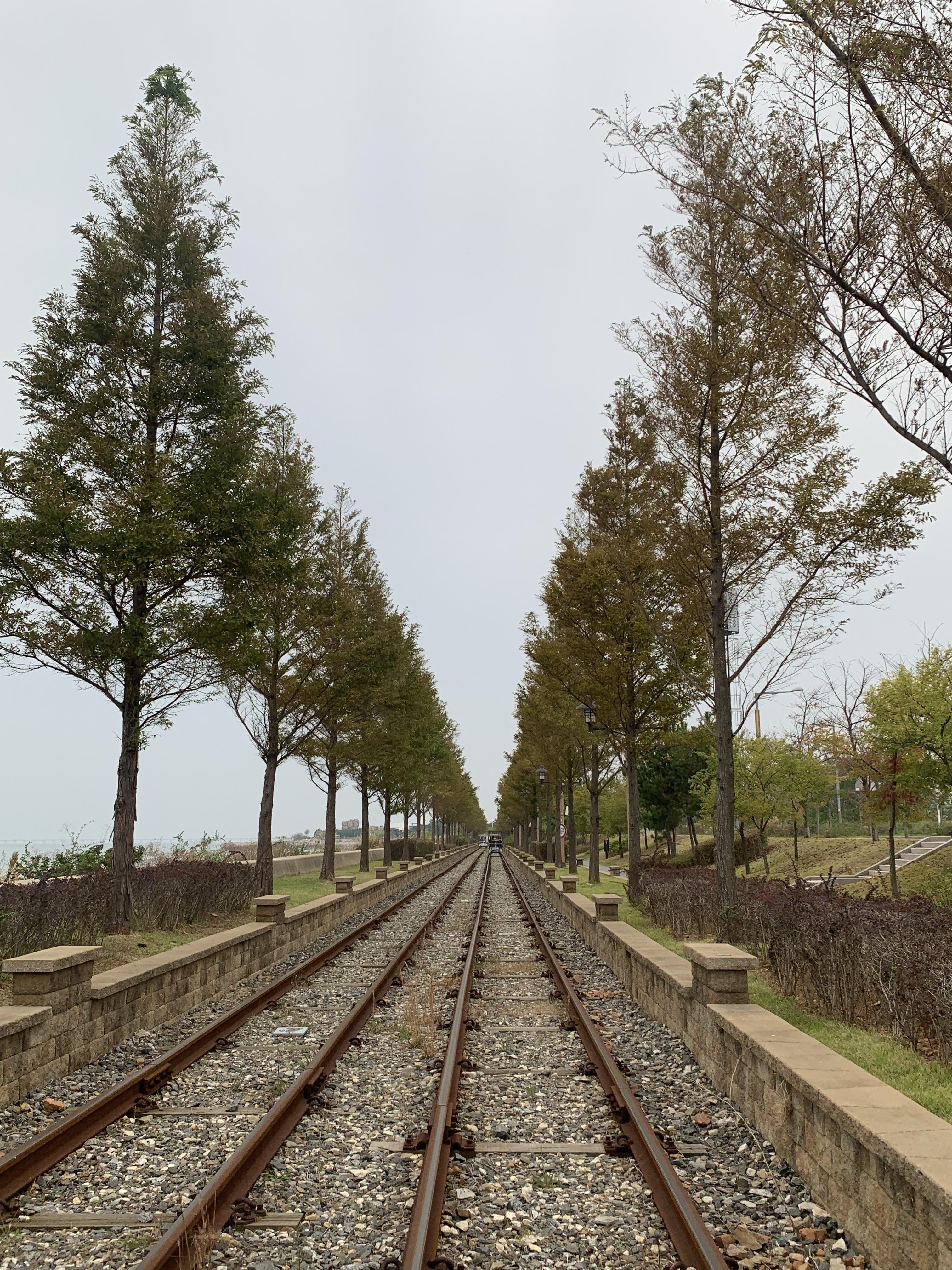 영종도 레일바이크