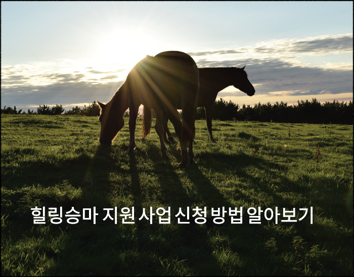 힐링승마 지원 사업 신청방법