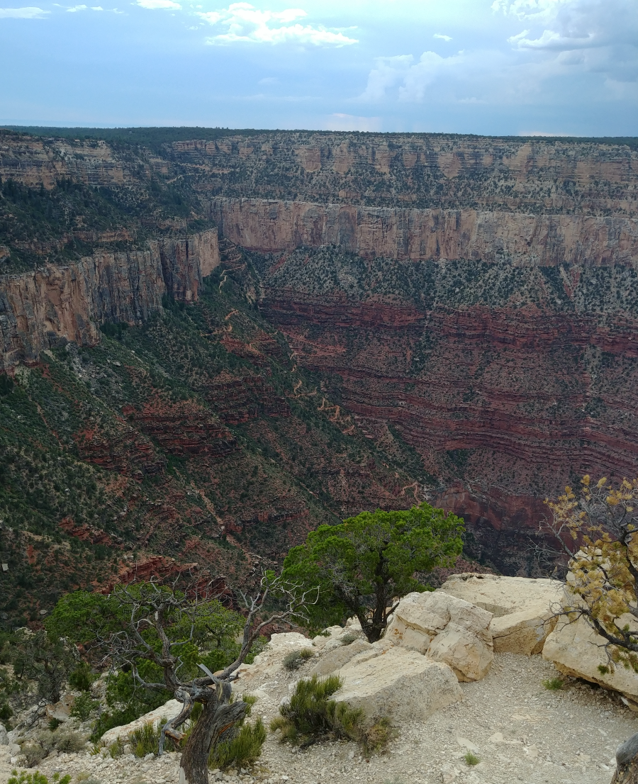 GRAND CANYON 풍경