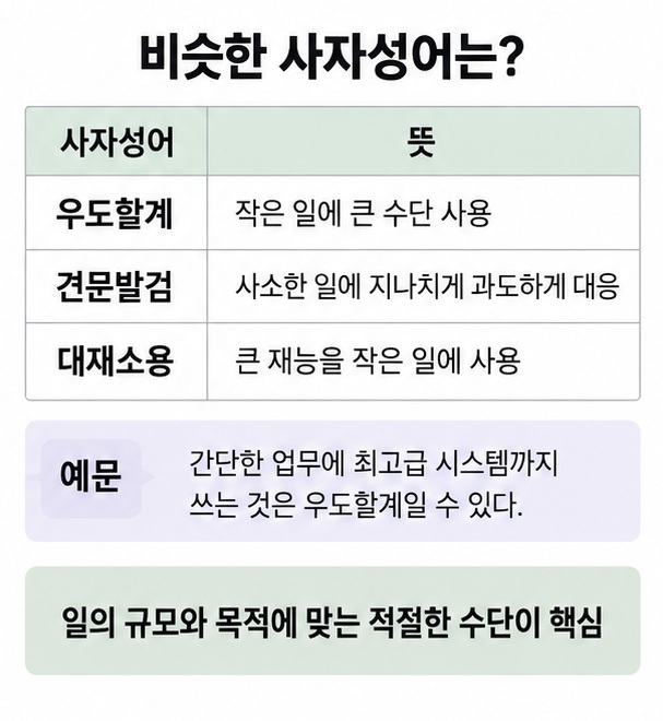 우도할계 견문발검 대재소용의 차이와 작은 일에 과도한 수단을 쓰는 실제 예문을 비교한 인포그래픽