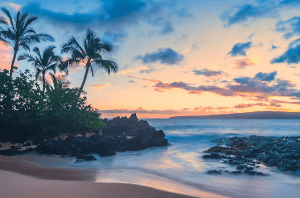 하와이 자유여행: 항공부터 렌터카까지, 모든 것 총정리!