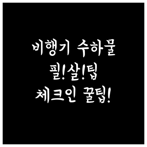 타이비엣젯 수하물 규정과 온라인체크인..