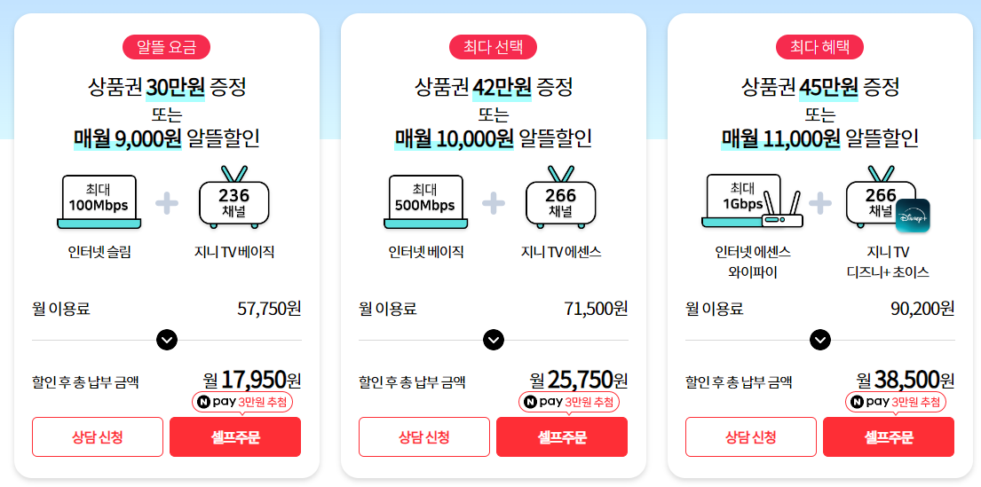 KT 인터넷 요금제