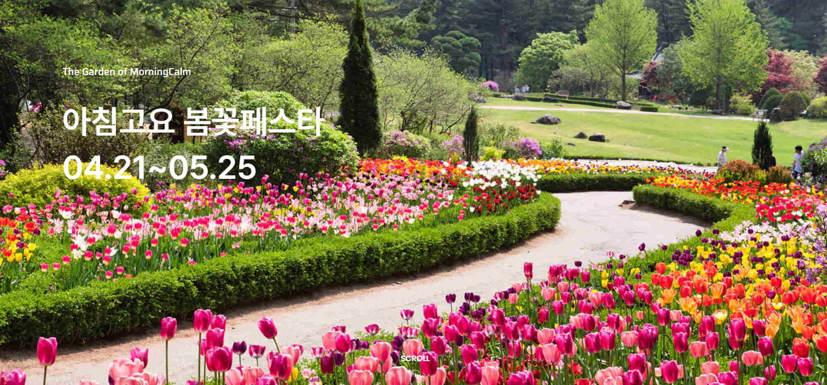 아침고요수목원