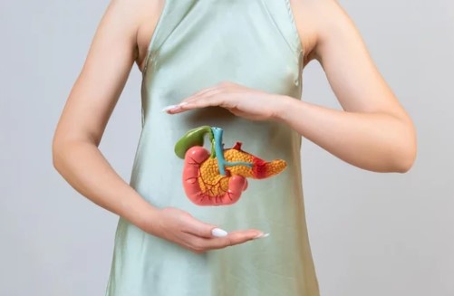 췌장의 역할
췌장암 검사
췌장암 검사종류
췌장암 검사방법