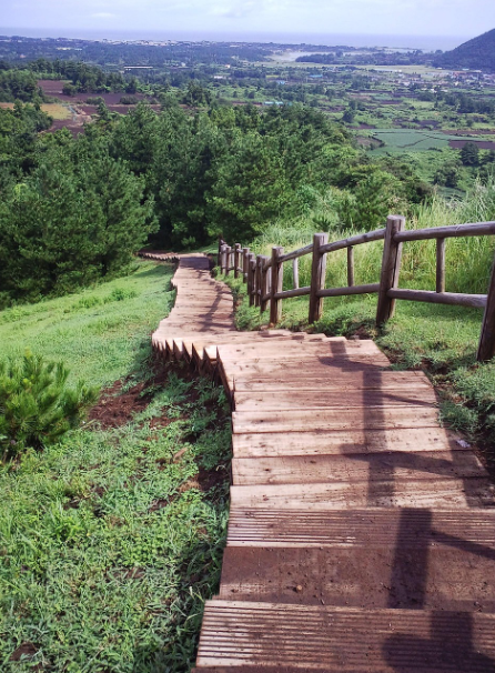 제주도 올레길