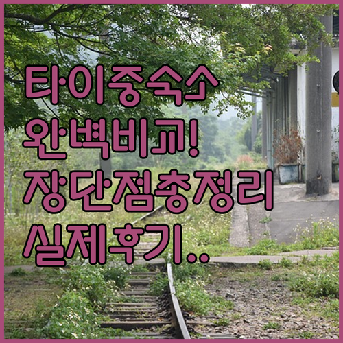 대만 타이중 여행 숙소 고르는 법 특..