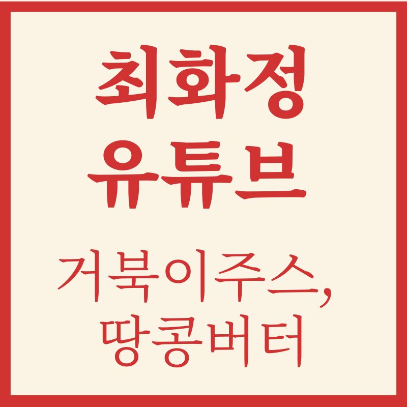 최화정 거북이주스