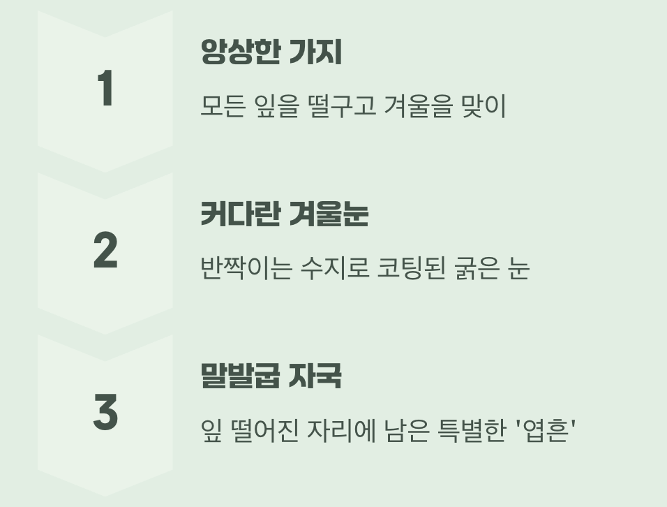 겨울: 말발굽 자국을 품은 겨울눈
