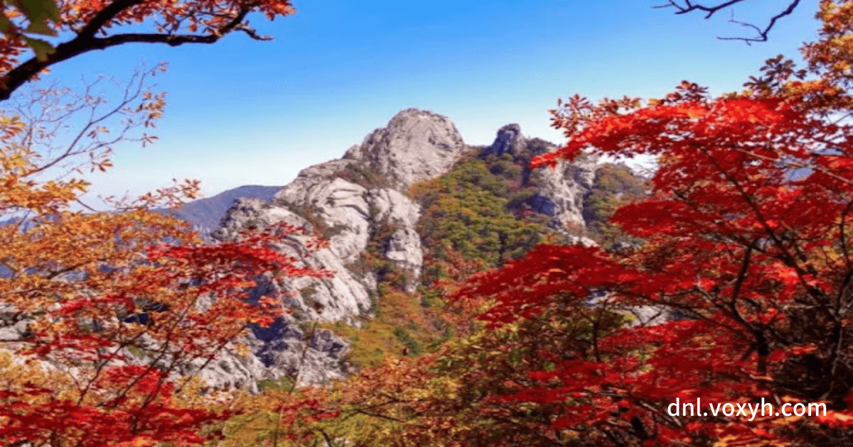 설악산 가을 단풍