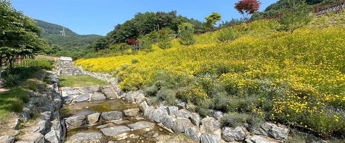 충북 진천 치유의 숲, 꼭 가야 하는 6가지 이유!