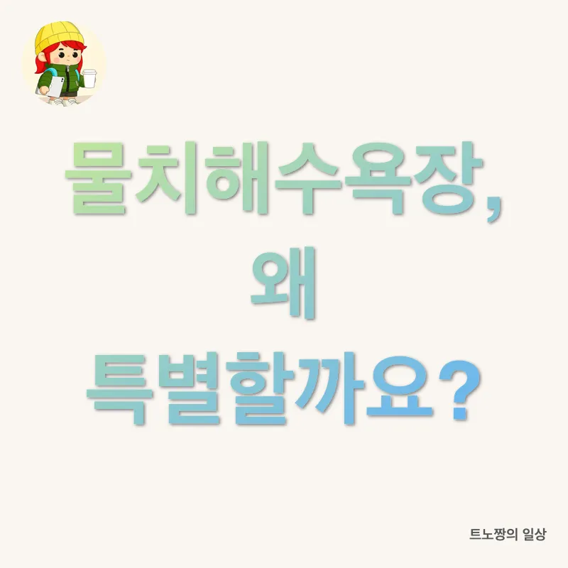 양양의 숨겨진 보석_1