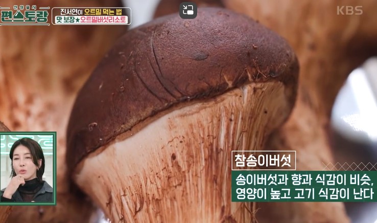 참송이버섯-효능
