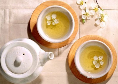 탱자 효능 효소 담그는 법