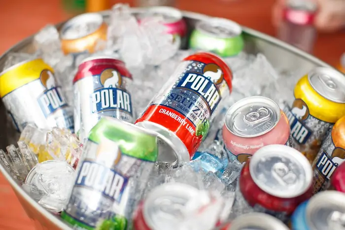 폴라 셀처 Polar Seltzer