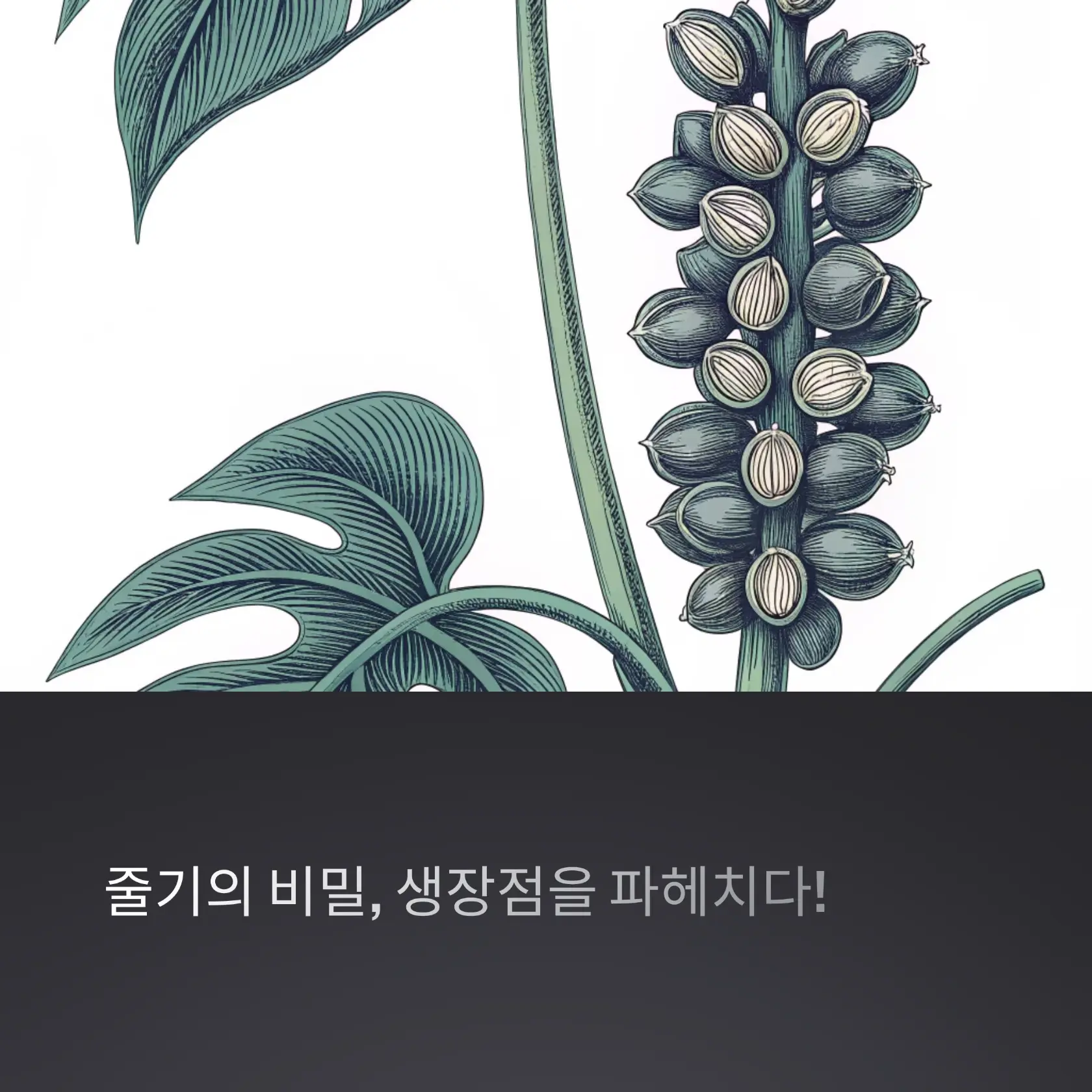 줄기 생장점의 비밀, 식물 성장의 핵심