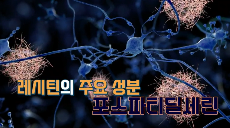 포스파티딜세린