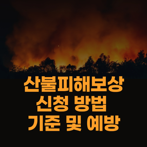 산불피해보상 신청 방법, 기준 및 예방 관련 사진