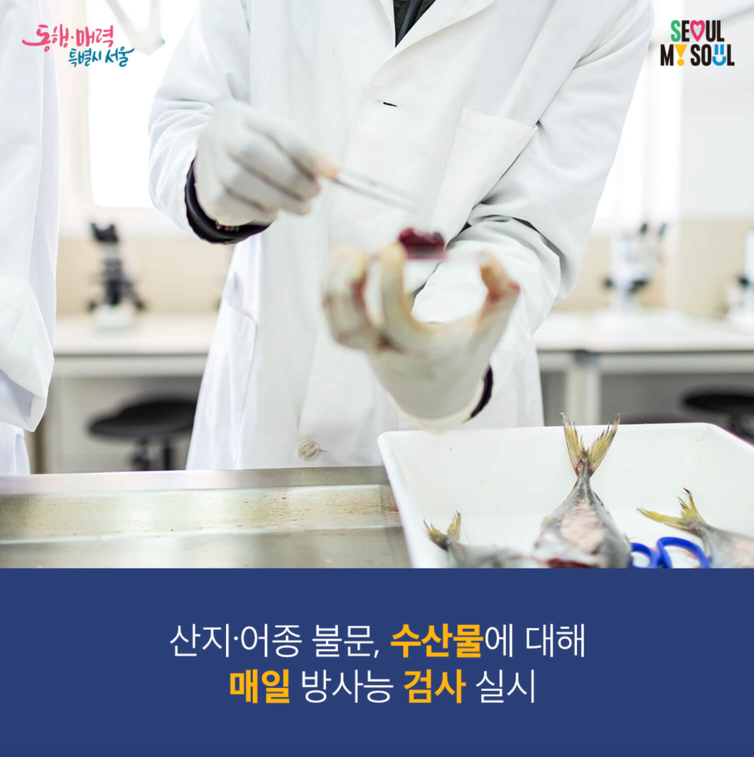 매일 표본 조사