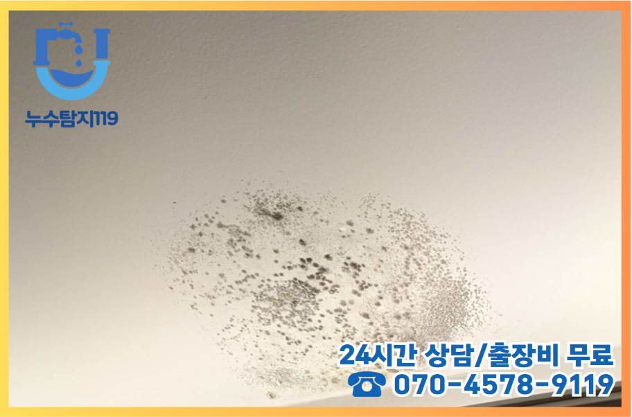 산울동누수2